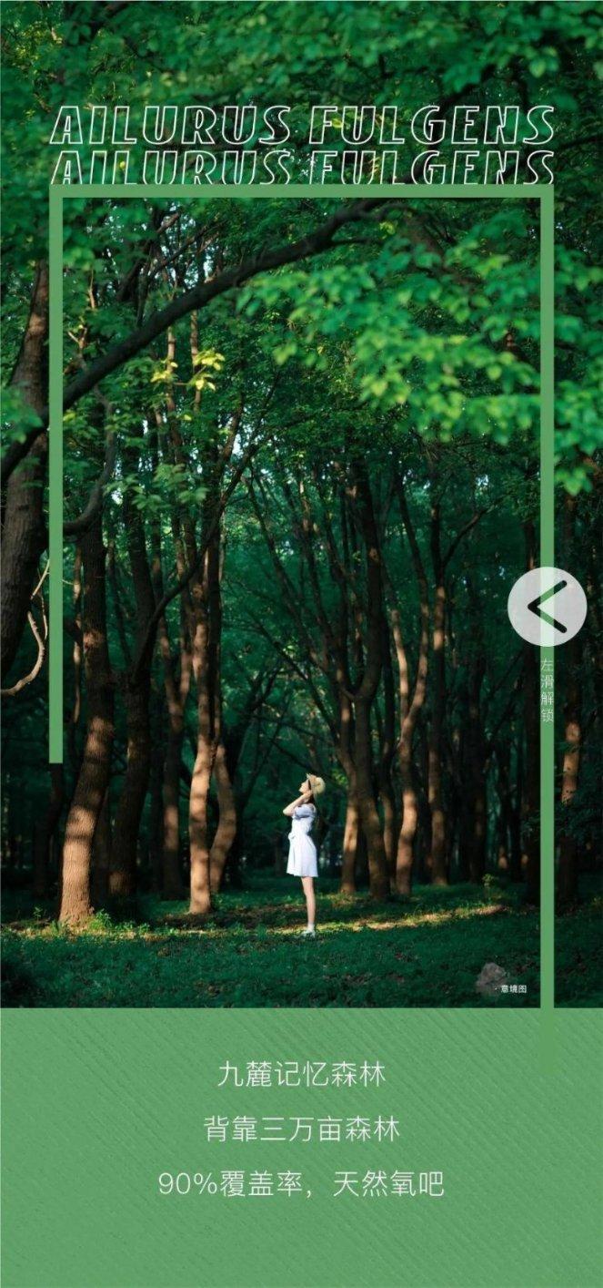 在感情中，你会因为哪些原因而分手？游戏画面